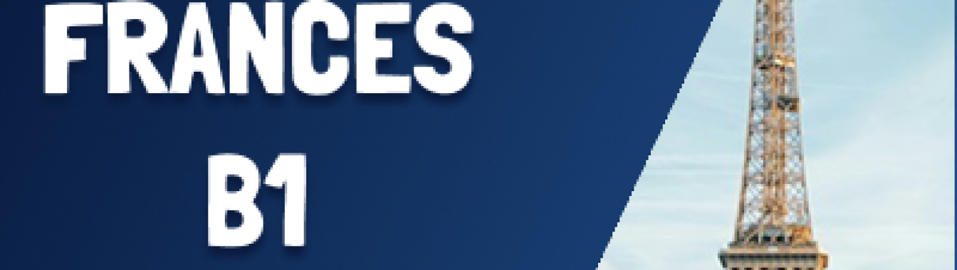 FRANCÉS DELF B1 PRESENCIAL Y ONLINE - CLASES EN DIRECTO